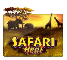 Safari Heat - STOREBET77