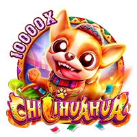 CHILIHUAHUA - STOREBET77
