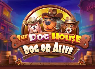 The Dog House - Dog or Alive - STOREBET77