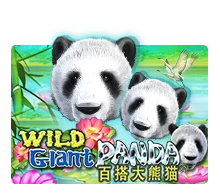 Wild Giant Panda - STOREBET77