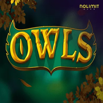 Owls - STOREBET77