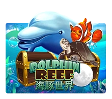 Dolphin Reef - STOREBET77