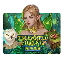 Enchanted Forest - STOREBET77