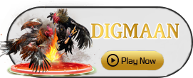 Digman - STOREBET77