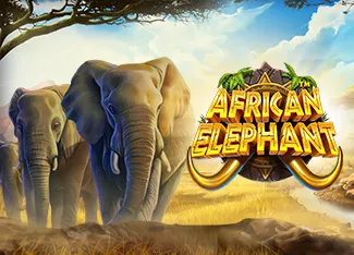 African Elephant - STOREBET77
